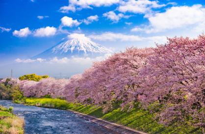 APP不能﻿读成“A-P-P”？！！这15个最常被读错的英文，你中招没