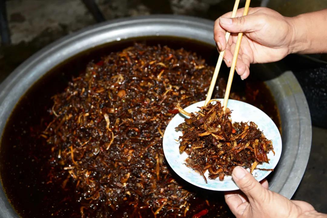 这是一个生机勃勃的地方关于它的故事才刚刚开始