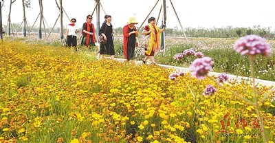焦作大沙河综合治理效果图,焦作大沙河生态治理项目规划