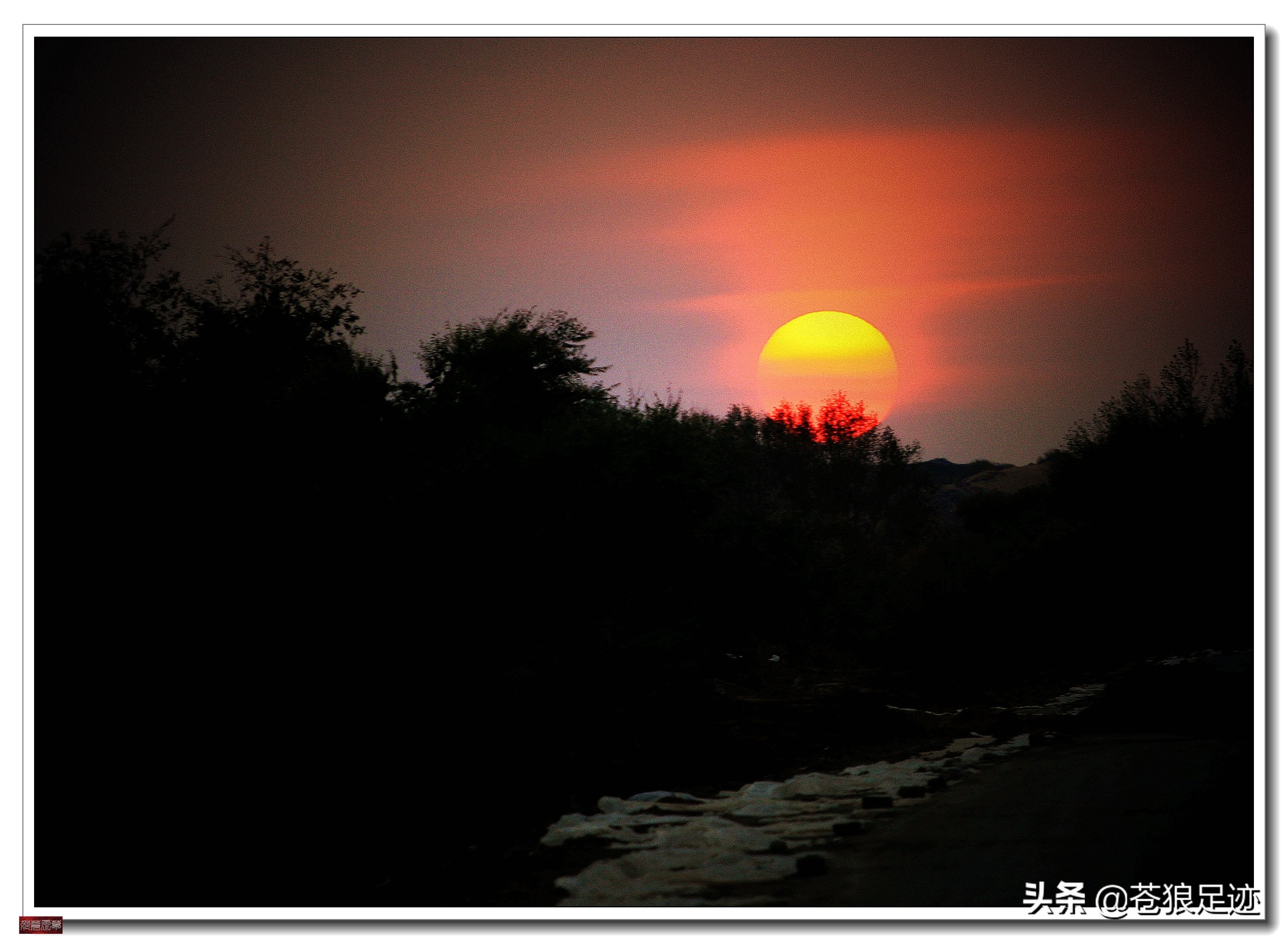 美丽的贡格尔草原风光无限,贡格尔草原上的牛羊的视频