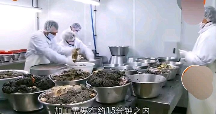 世界顶级黑黄金鱼子酱,最顶级黄金鱼子酱多少钱