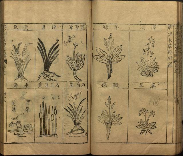 李时珍与本草纲目ppt课件,神农本草经正版李时珍书籍