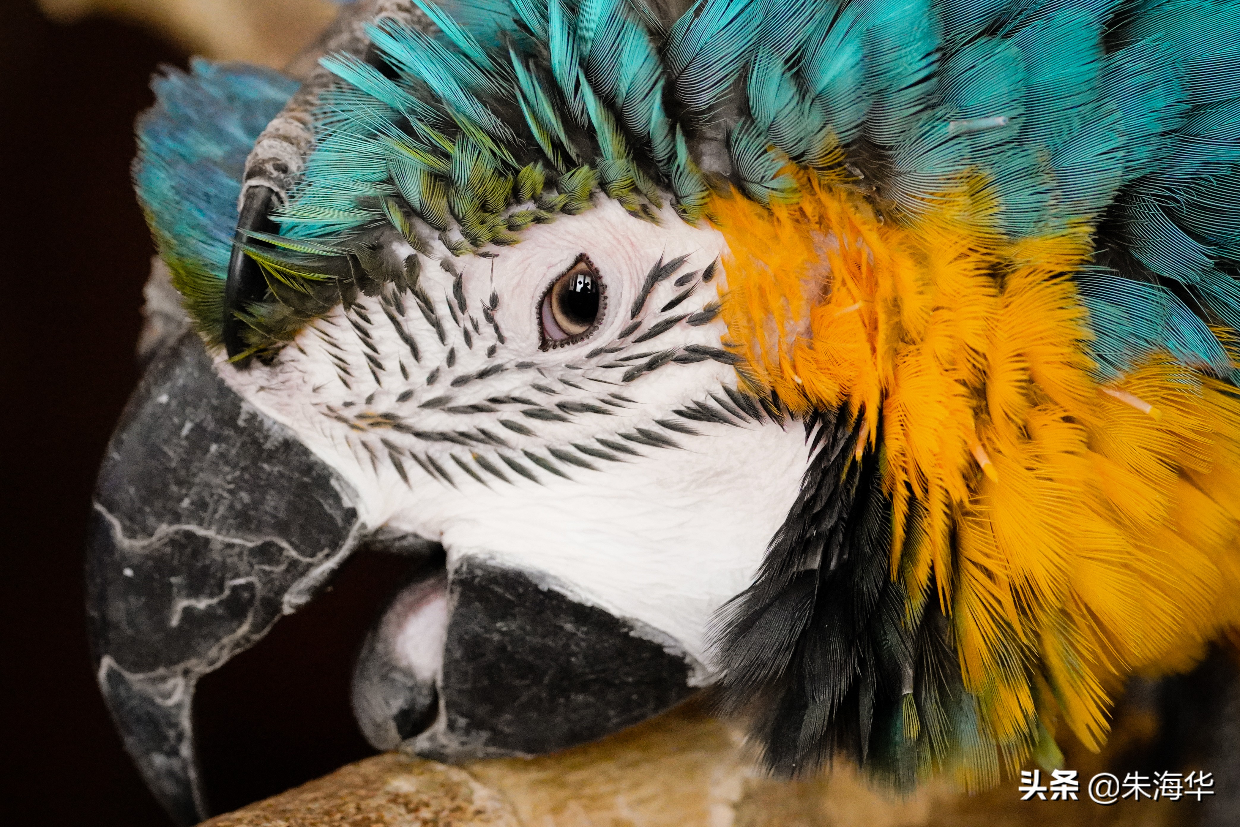 镜头记录：“它们”和我们