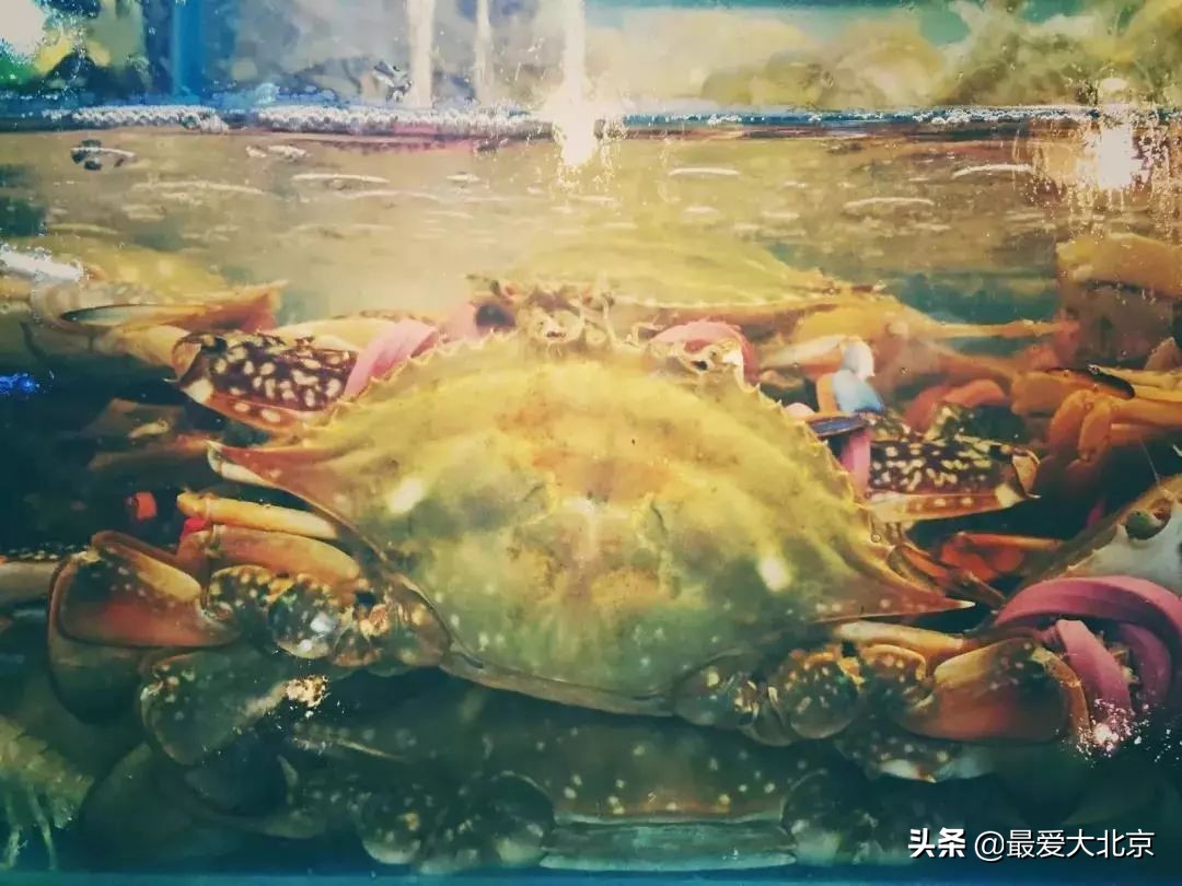 老街坊们，静安市场回来了