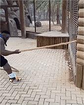 俄罗斯大汉,俄罗斯大汉pk东北大汉