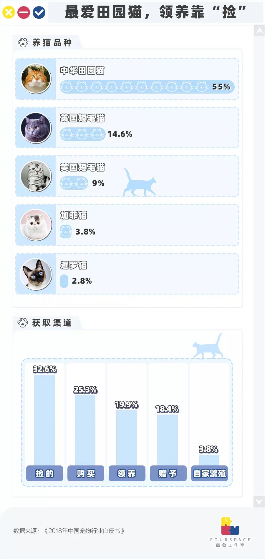 养猫的经历和收获,养猫的收获有哪些
