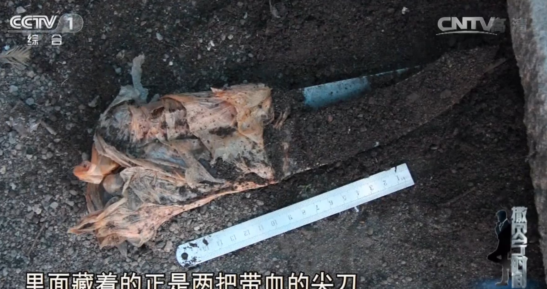 13年前，吉林一男子遇害，警方靠其姐梦境，找到埋尸地点