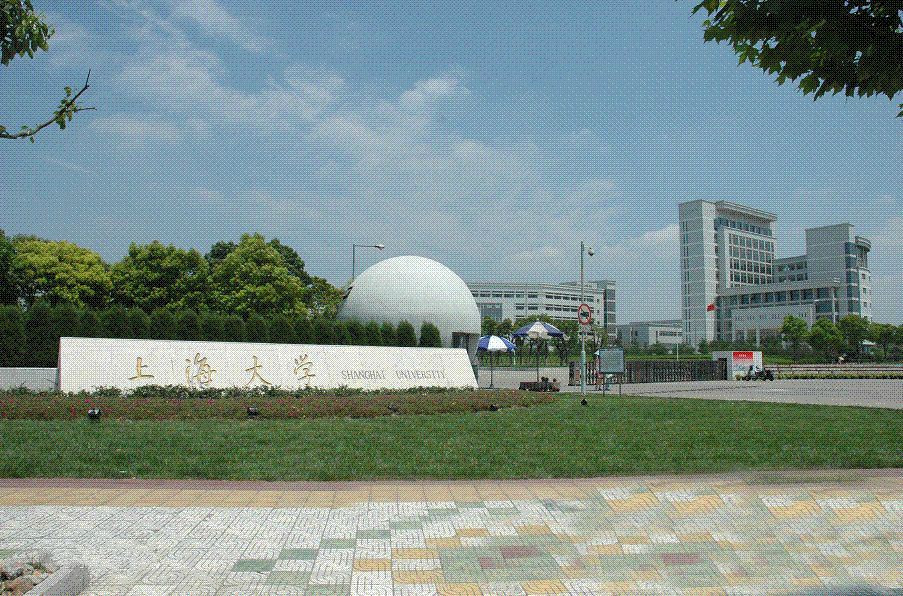 中国高水平大学与区域一流哪个好,深圳大学与上海大学哪个更有潜力