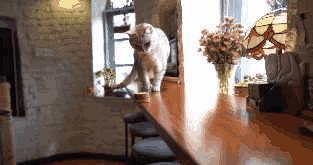 青岛宫崎骏漫画里的风景在哪里,宫崎骏漫画小镇青岛