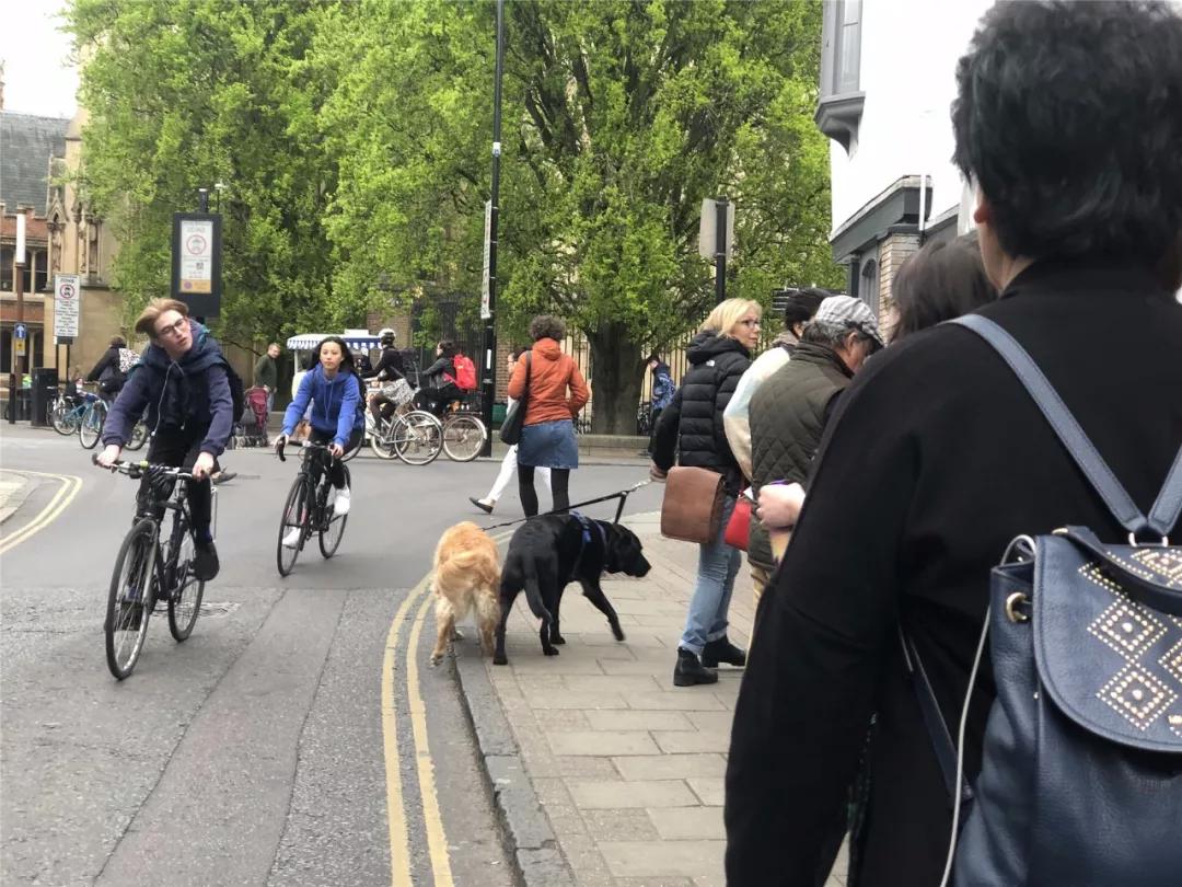 孩子出国留学从大几准备合适,孩子多大年龄出国留学比较好