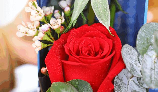 厦门这家超浪漫的鲜花餐厅,厦门最好看的花店