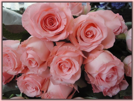 花艺培训学校哪个比较好,正规花艺培训学校有哪些