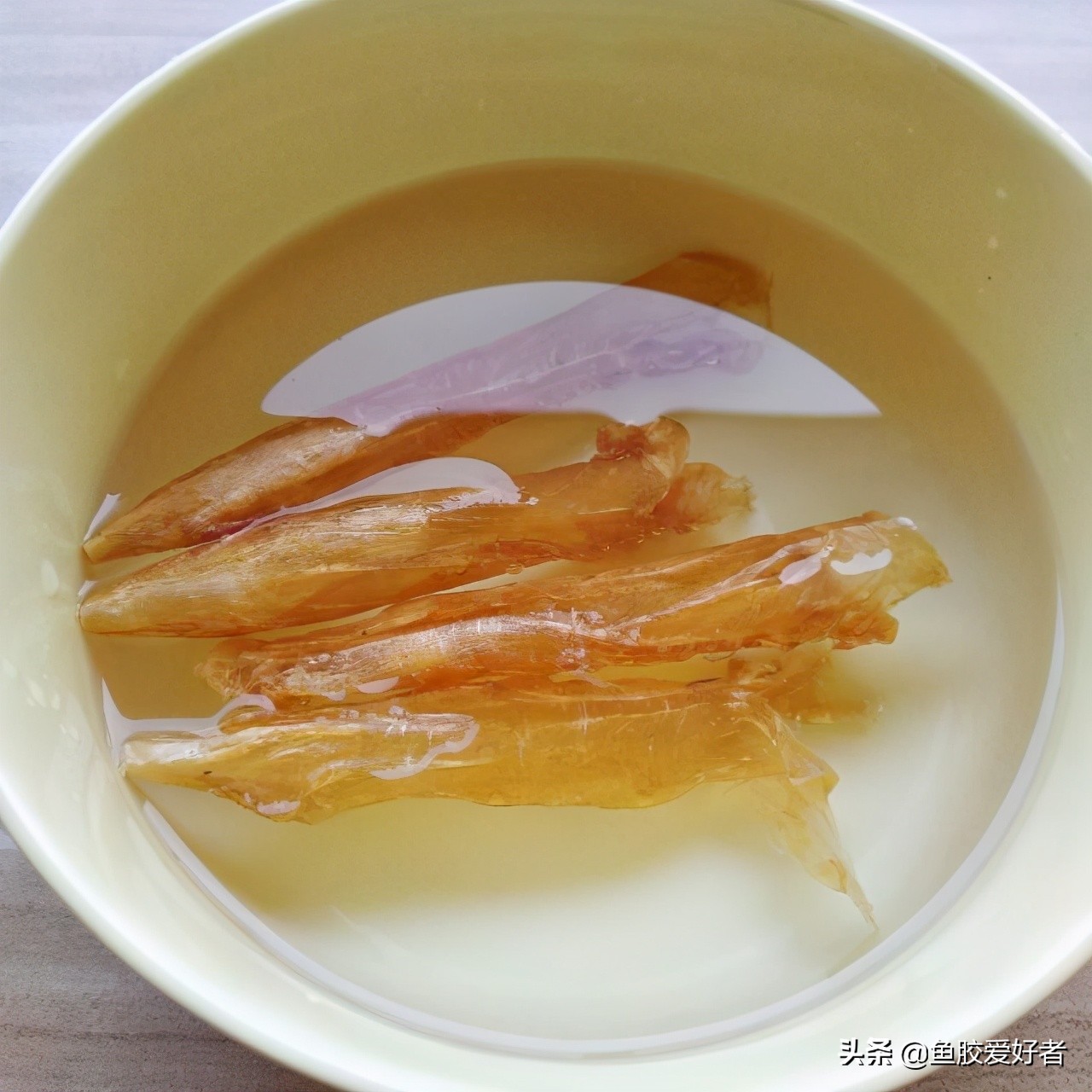 鱼胶的正确泡发方法教程,鱼胶的正确泡发方法和步骤