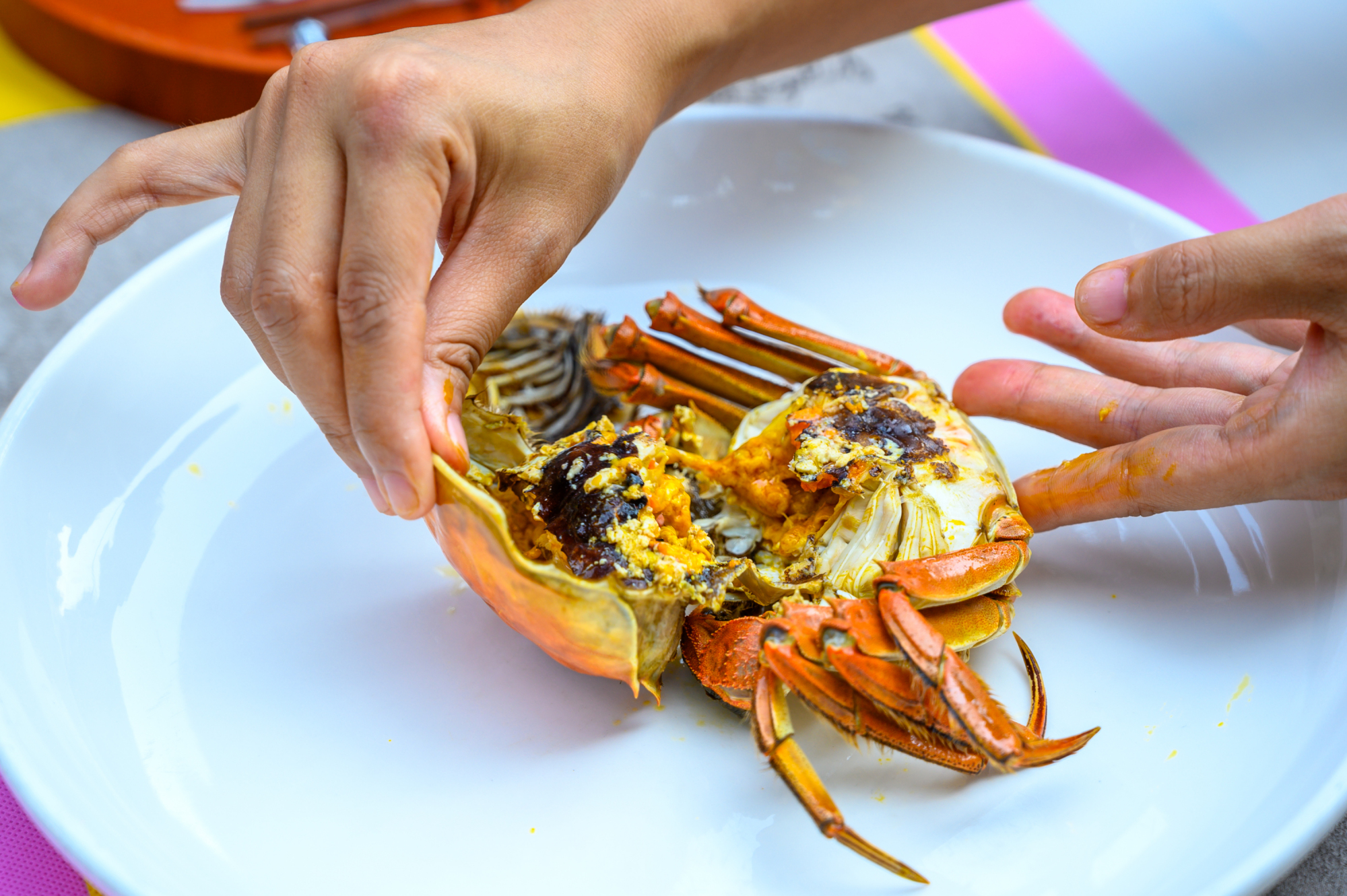 固城湖最佳吃蟹时间,秋风起蟹脚痒你懂得怎么吃螃蟹吗