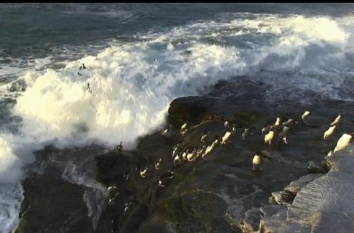 喜羊羊与灰太狼原始世界纪录片,喜羊羊与灰太狼每部片讲述的道理