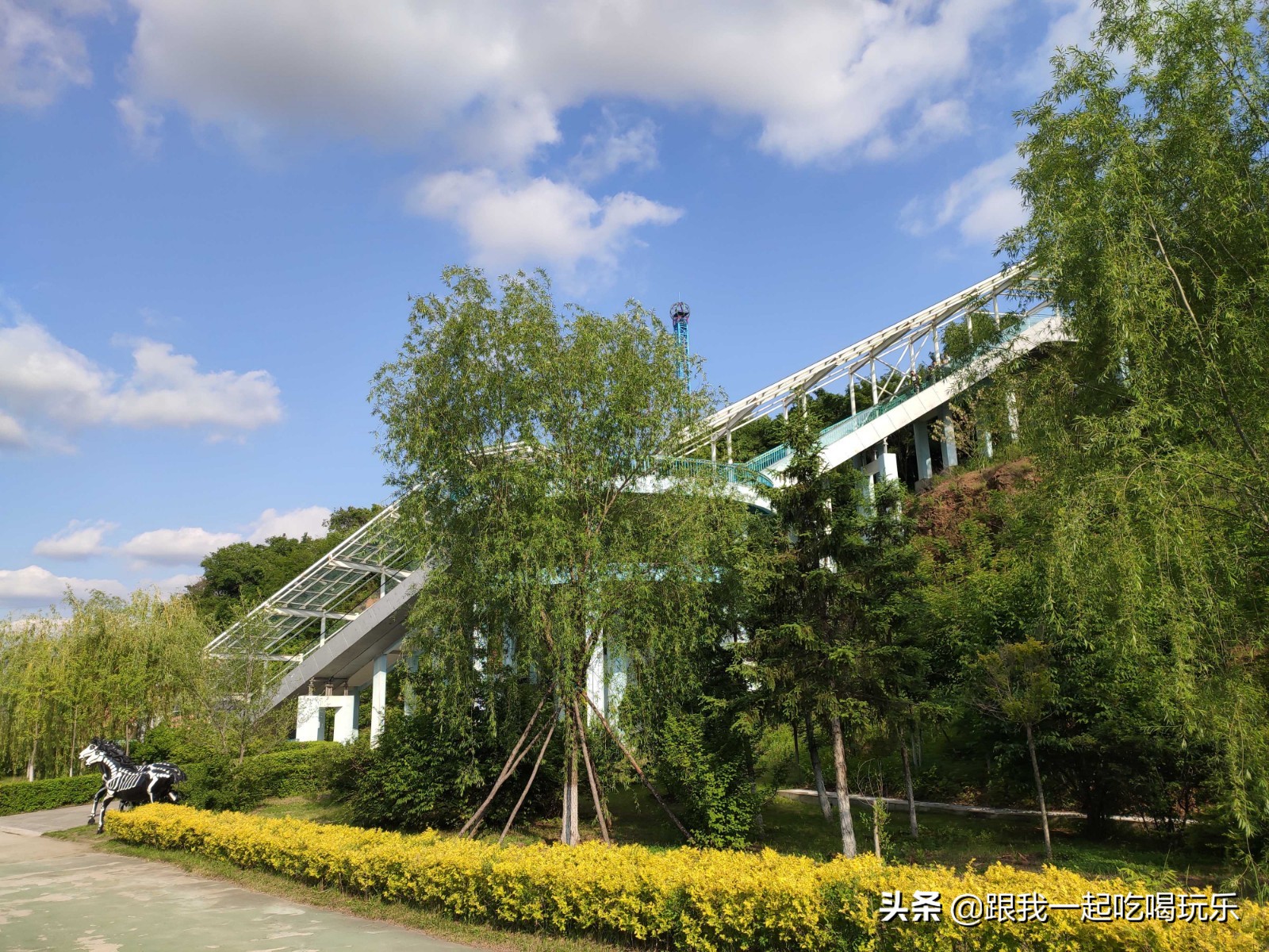 沈阳热高乐园丛林欢乐世界,沈阳丛林欢乐世界