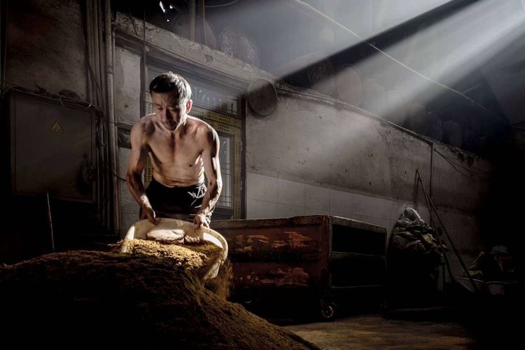 8月向日葵云海（徽州百工、黟县的朋友圈、瓷都景德镇）采风