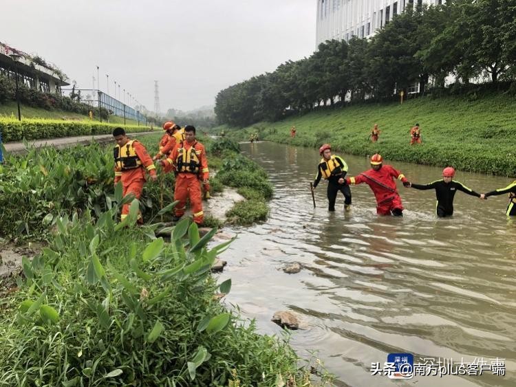 深圳洪水事件,深圳洪水7人遇难