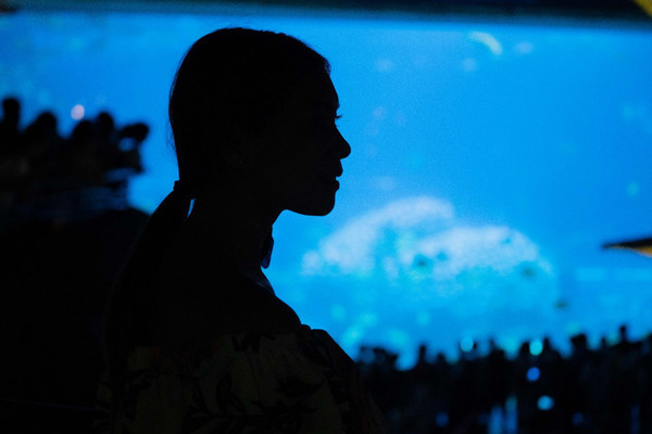 珠海长隆旅游攻略一天自由行,珠海长隆旅游攻略三天自由行