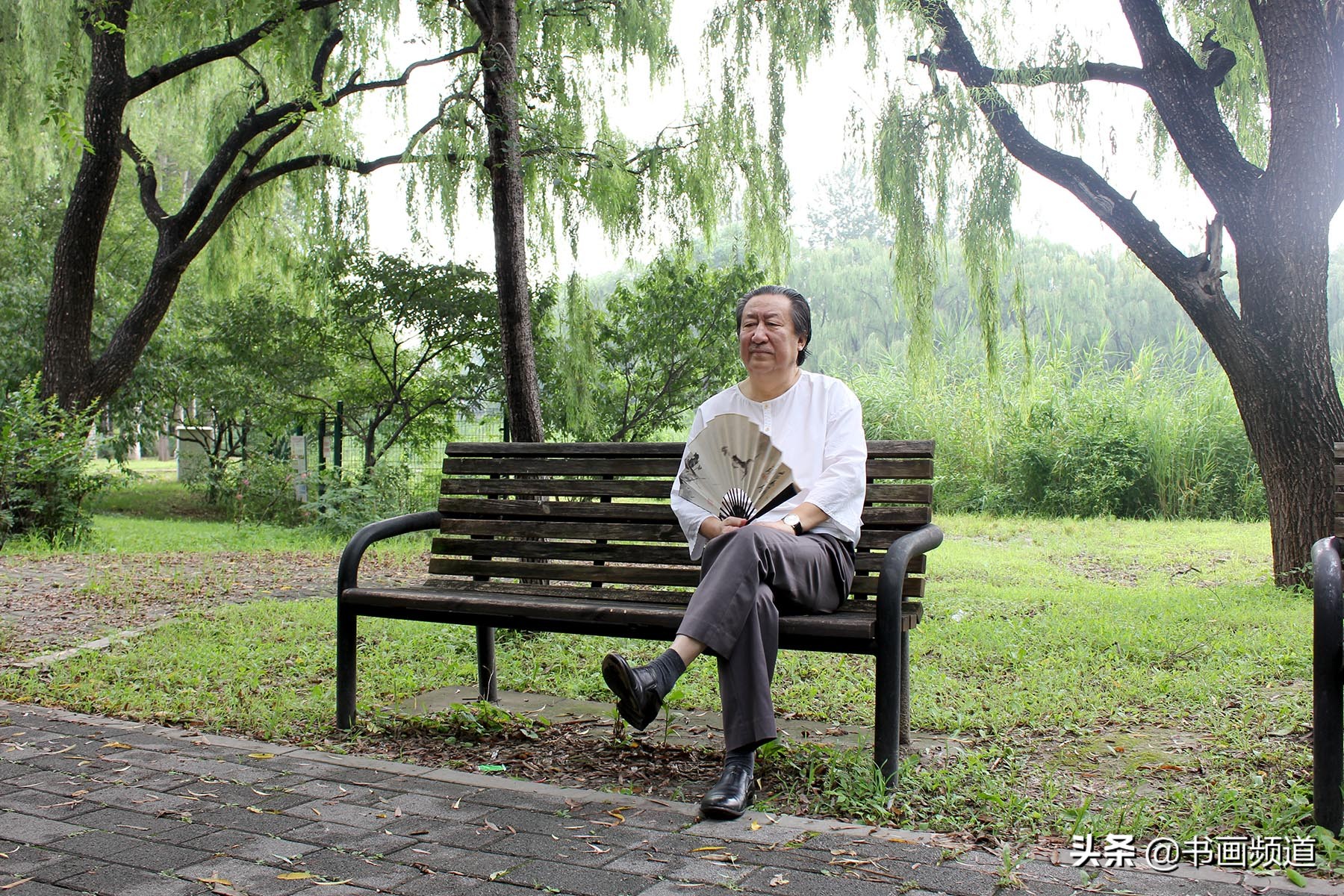 杨晓阳写意作品,杨晓阳从写实到写意