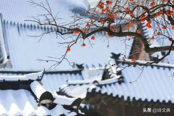 作文中该怎么写友情,友谊作文怎么写高分