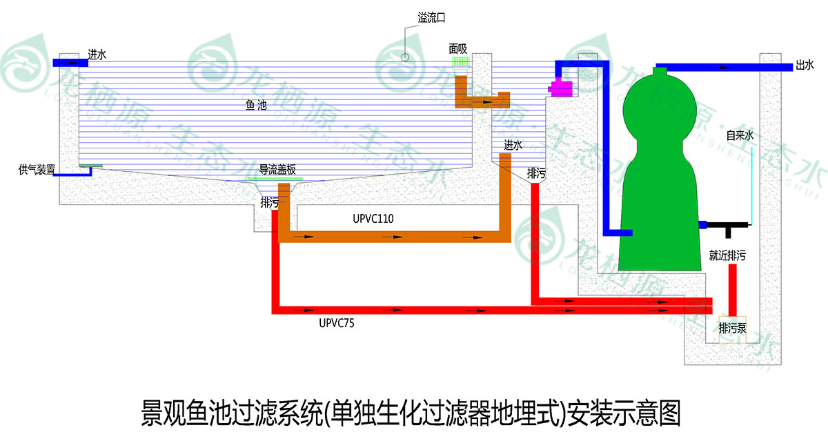 锦鲤鱼池过滤系统的施工过程,锦鲤鱼池过滤系统建造与改造