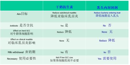 peter鍗氬＋鑲插効璇惧爞,鑻卞浗peter