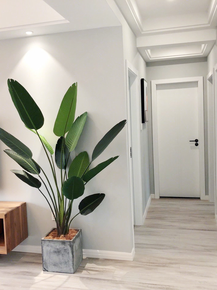 墙面装修加固防潮防虫是刷什么,二次装修墙面可以直接刷乳胶漆吗