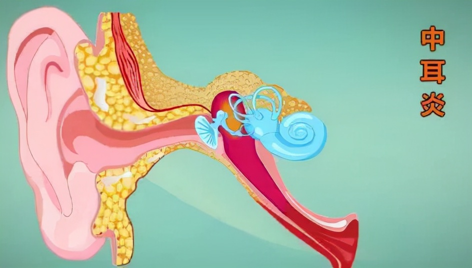 鼻息肉科普小视频40秒,判断鼻息肉最简单方法