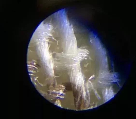 儿童显微镜下的微观世界,便携式儿童显微镜萌趣多