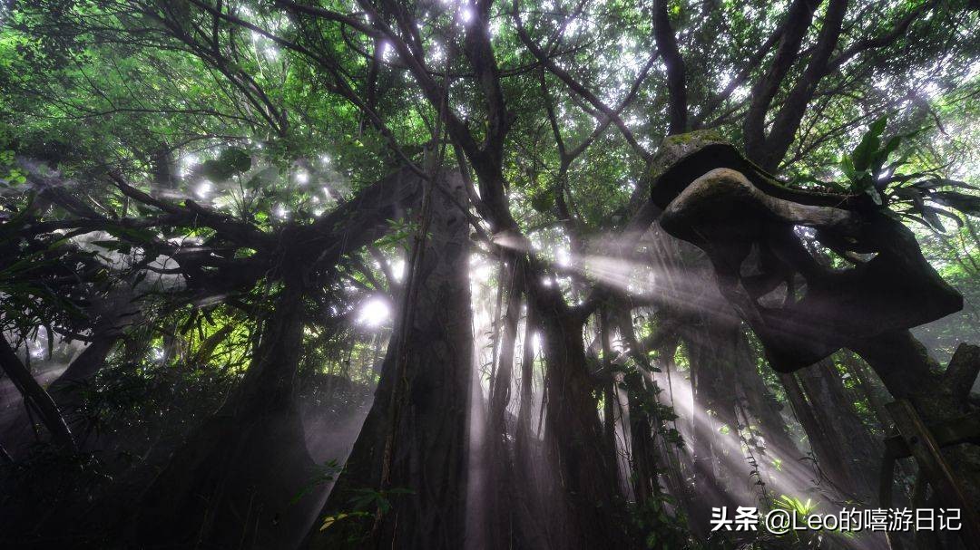 亲子秋游深圳青青世界,大自然深圳青青世界