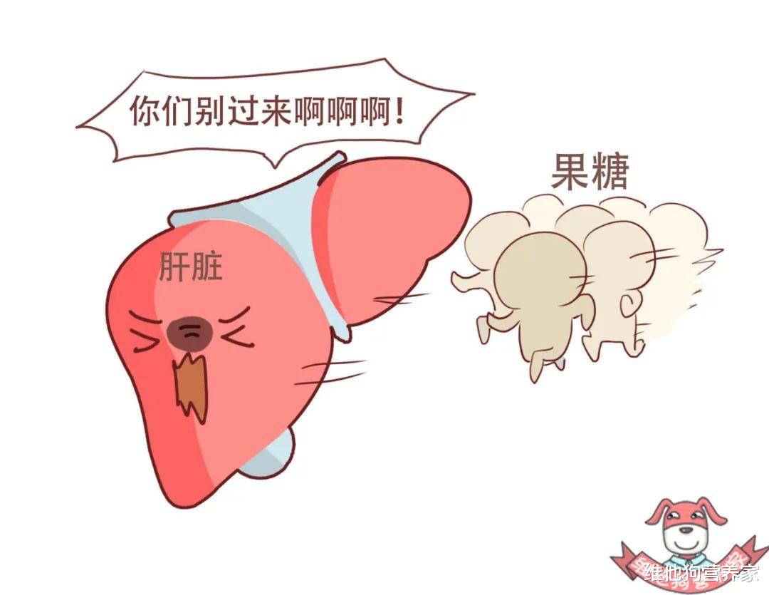 水果代餐减肥可以吗,水果代餐怎么减肥