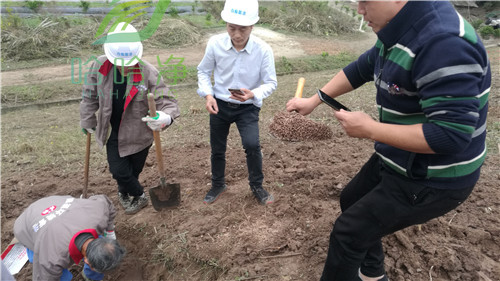 重庆白蚁防治中心电话,重庆荣昌白蚁防治中心电话