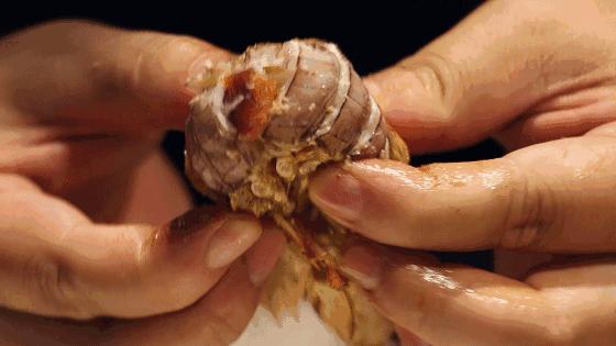 据说在天津，没有一只皮皮虾能活着走出去！