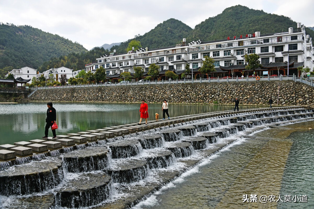 助力乡村振兴搭上快车,抓好乡村振兴机会有什么行业可做