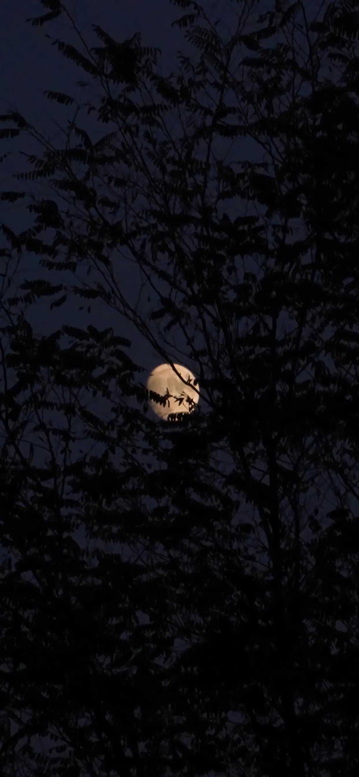 社会潜规则全集,常见的社会潜规则