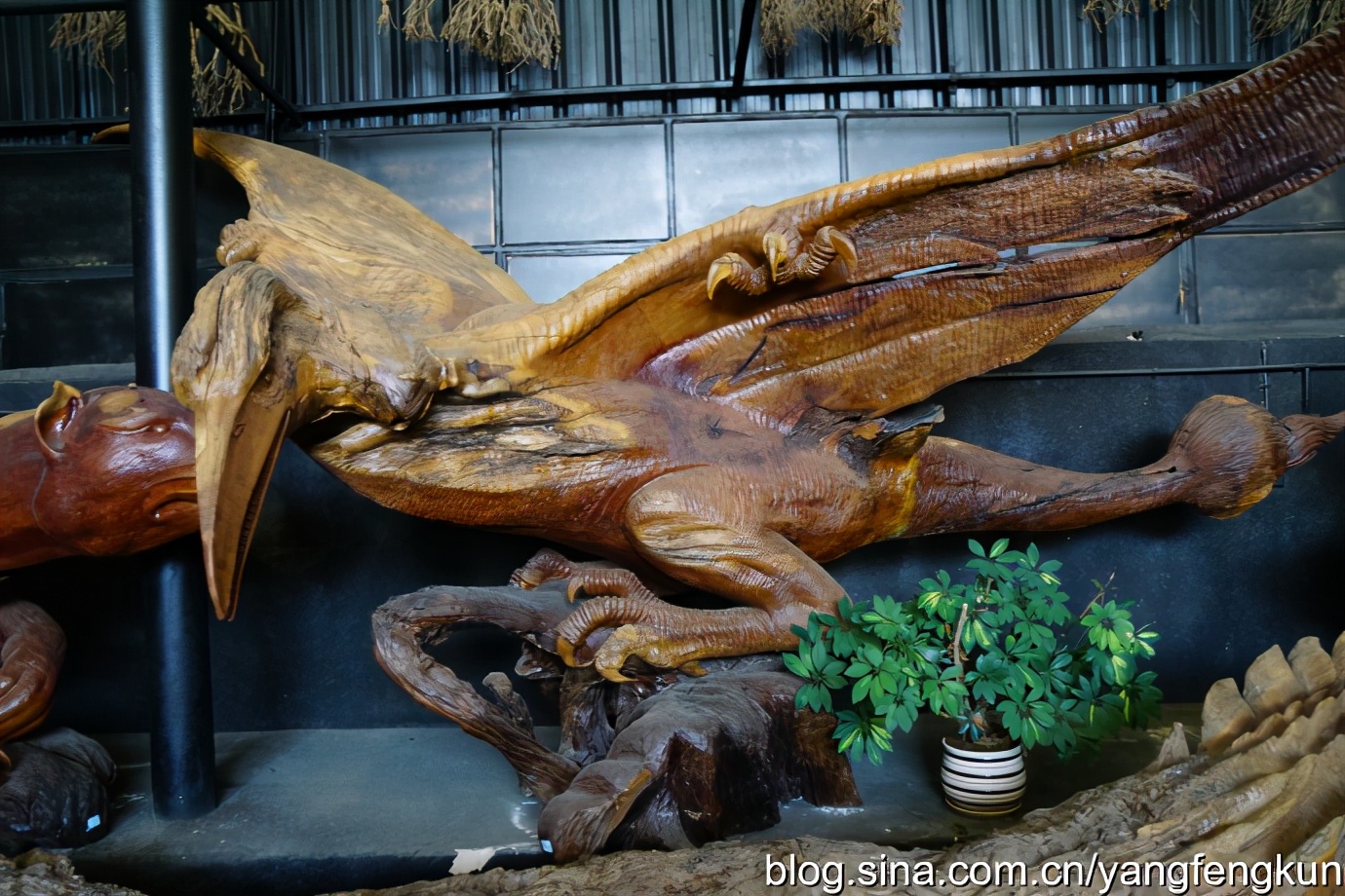 世界上最大的蜗牛介绍,全世界最大的蜗牛