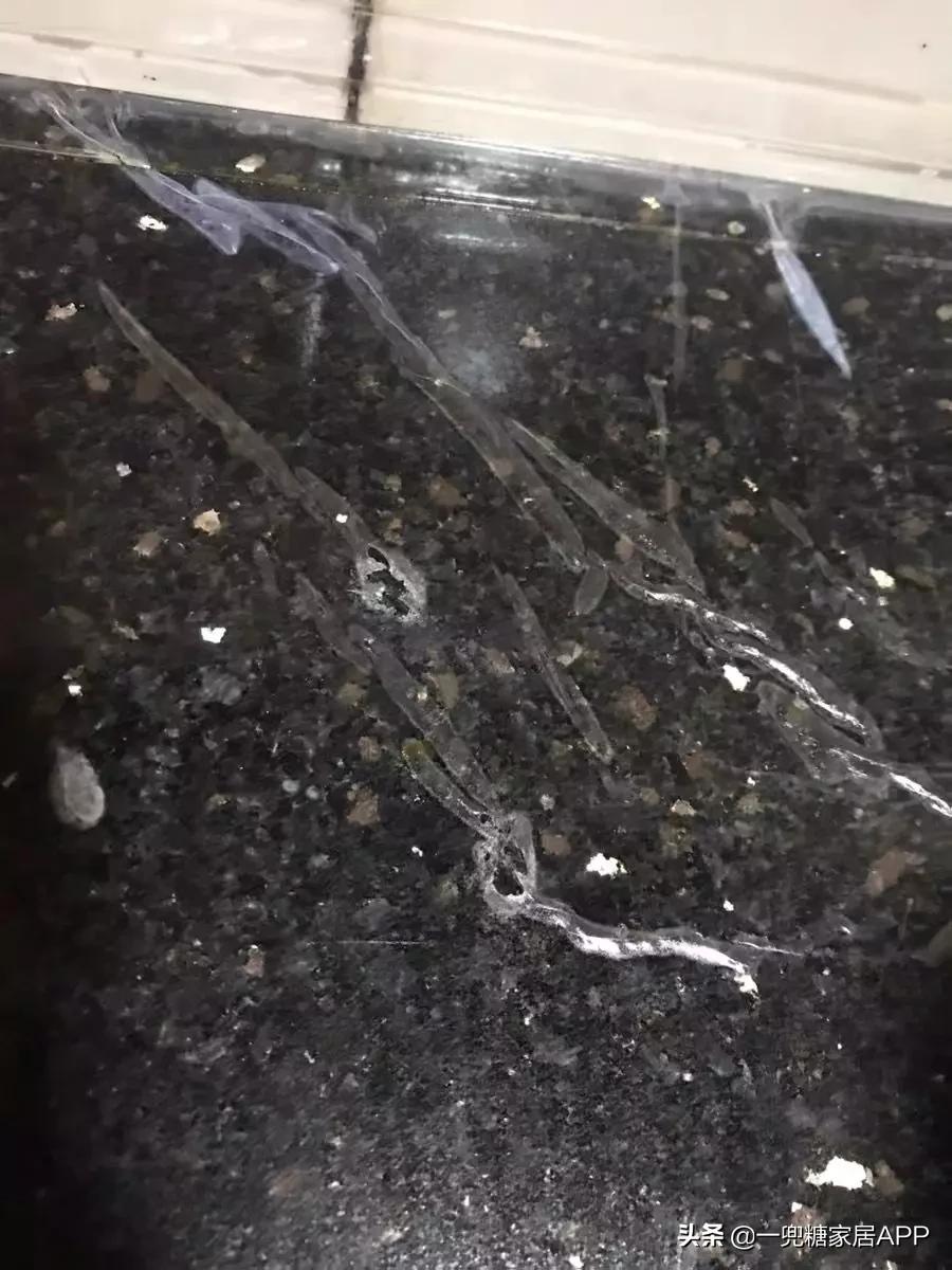 最坑的网红神器,盘点那些奇葩的网红神器