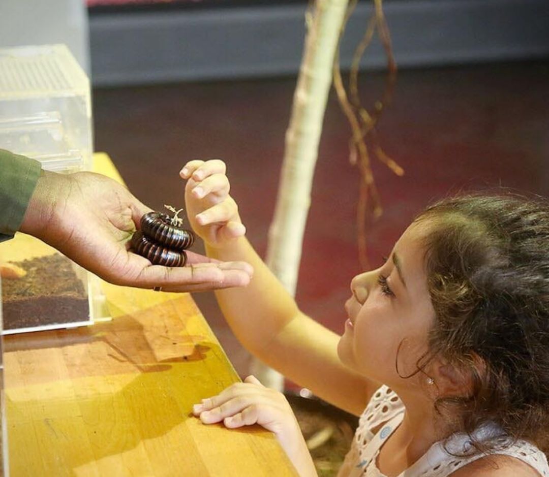 3小时玩转迪拜老城区,迪拜七天旅游攻略