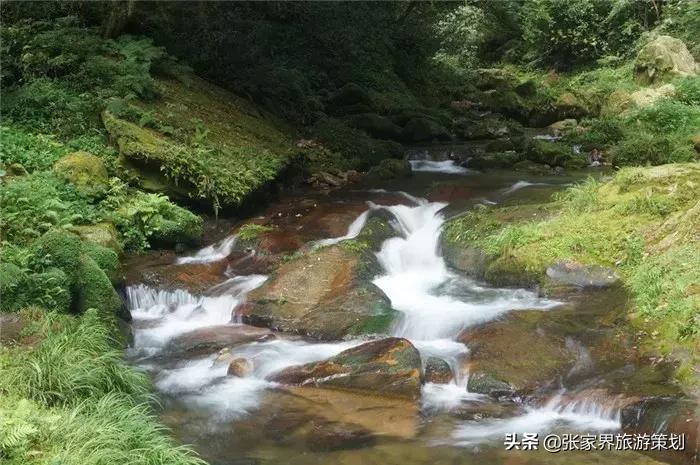自由行张家界吃住旅游攻略,张家界旅游自由行详细攻略