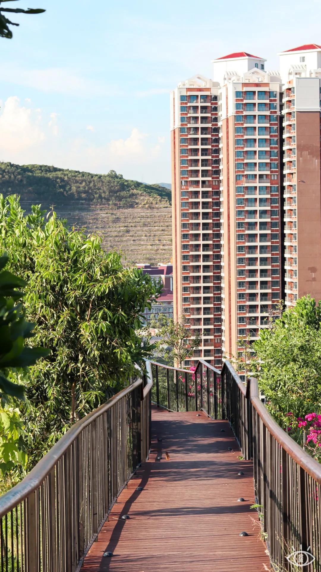 深圳西丽玻璃栈道,深圳海滨栈道重新开放