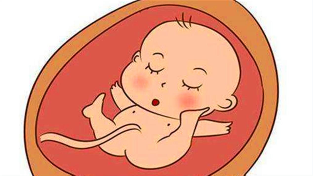 孕妈睡觉宝宝在干什么,孕妈七个月宝宝在肚子里干嘛