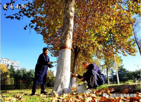 爱看南阳㉘初冬·暖阳依旧