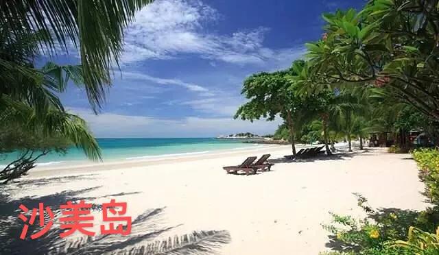 你知道泰国明星金渐层吗,你了解泰国吗