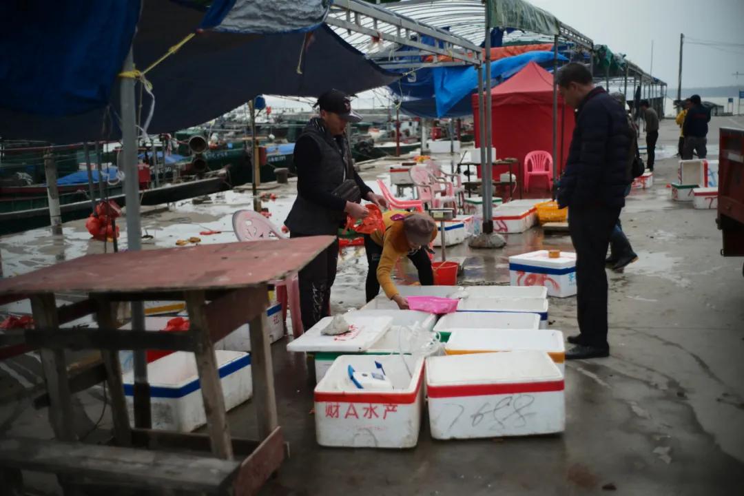 海南最大的渔港码头,在海南岛最霸气的渔港码头