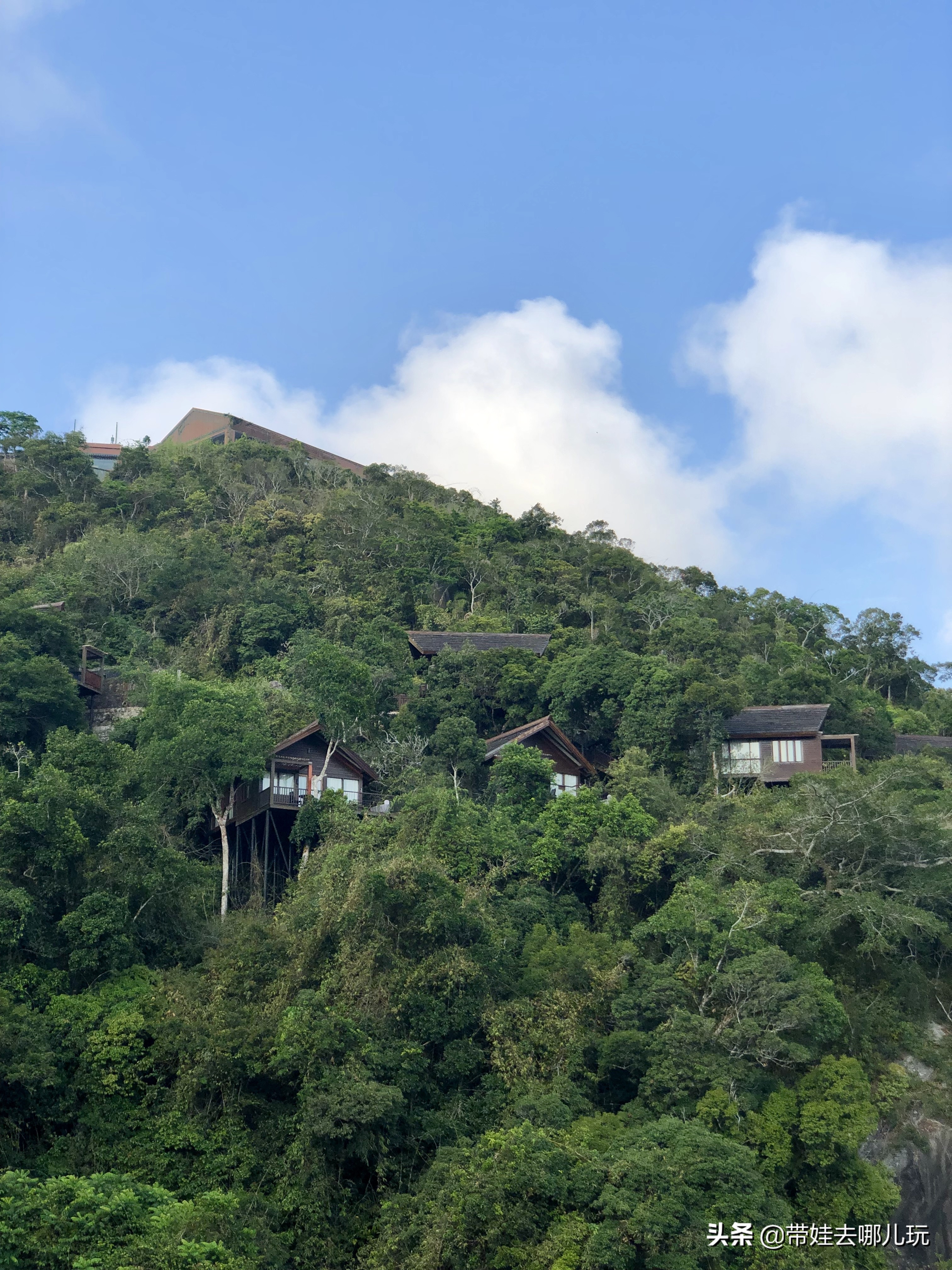 住三亚亚龙湾鸟巢酒店,亚龙湾森林热带天堂非诚勿扰