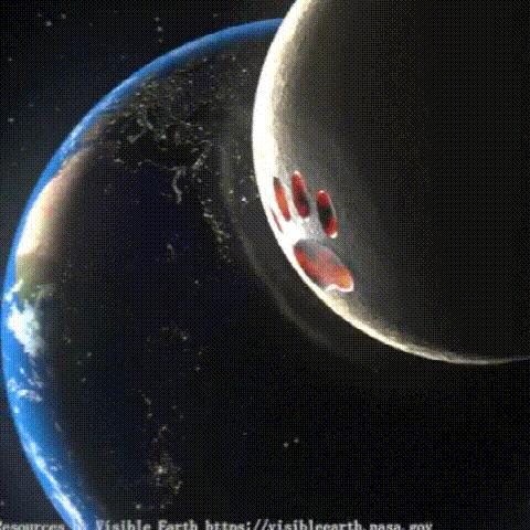 自考和统招本科哪个含金量高,自考本科跟统招本科有什么区别