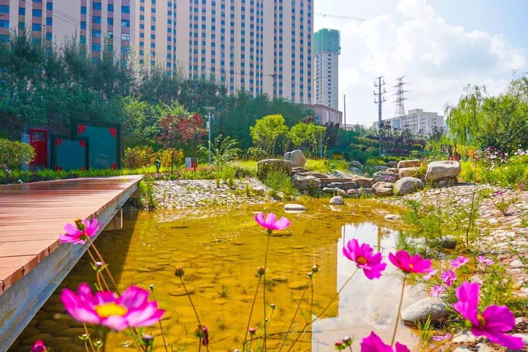 西宁一个臭水沟变成了大公园，看看在哪？