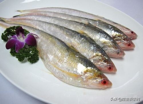 十大顶级土豪食材,世界最昂贵的十大食材排行榜