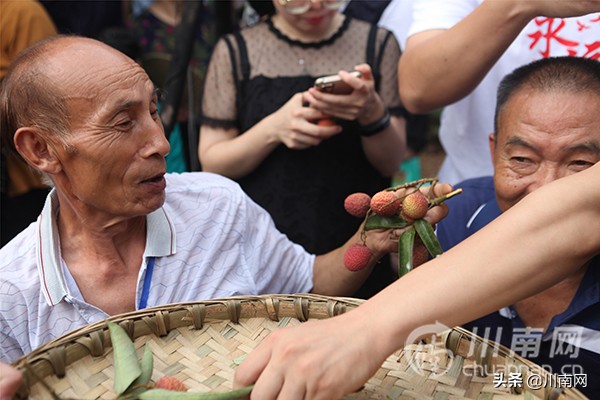 又是一年荔枝红全诗,又是一年一度荔枝成熟的季节
